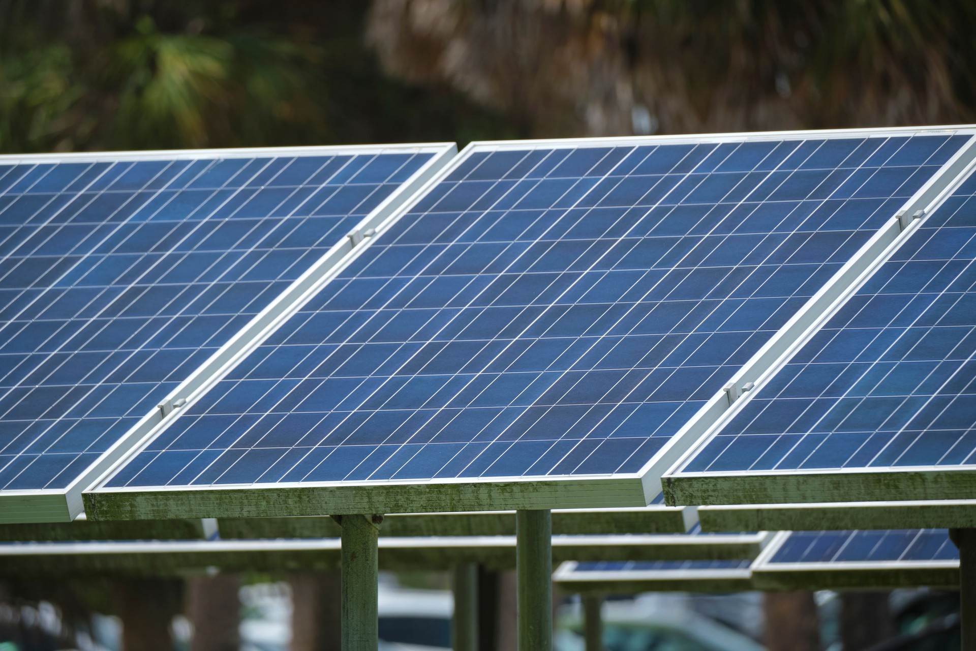 Solar panels installed on stand frame near parking lot for effective generation of clean electricity. Photovoltaic technology integrated in urban infrastructure for electric car charging